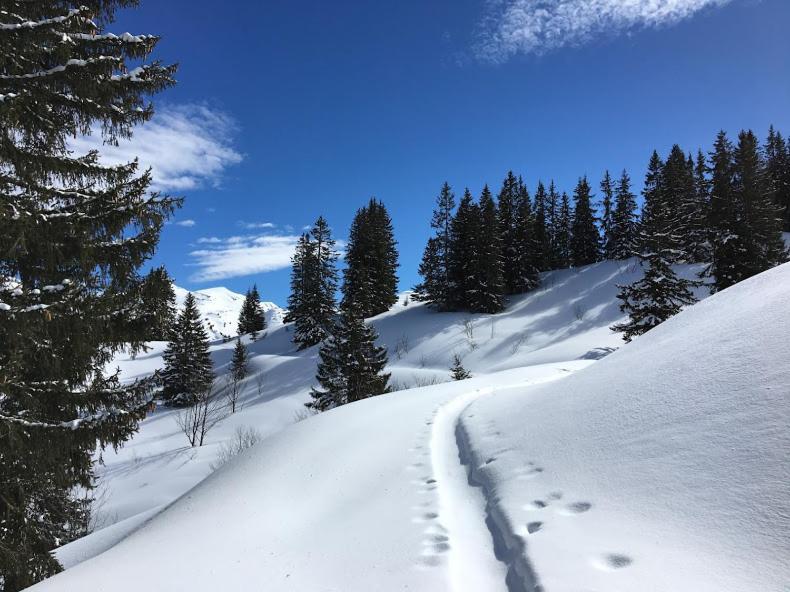 Atelier Des Sapins Blancs Otel Vacheresse Dış mekan fotoğraf